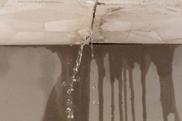 Professional Water Damage Inspection technician working in Mount Hope, OH